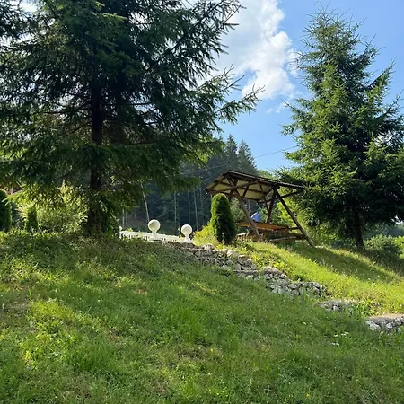 Villa Pensiunea Daniela Vata de Jos