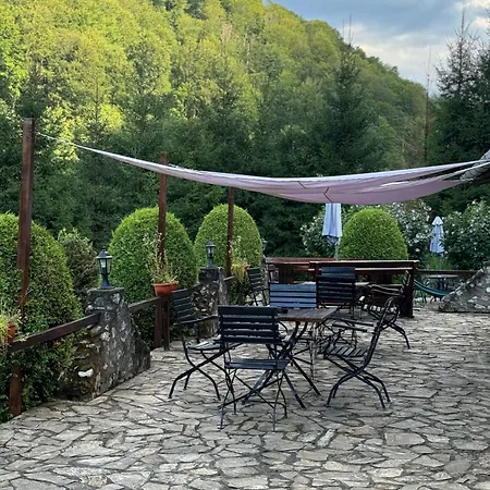 Villa Pensiunea Daniela Vata de Jos