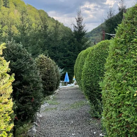 Pensiunea Daniela * Vata de Jos