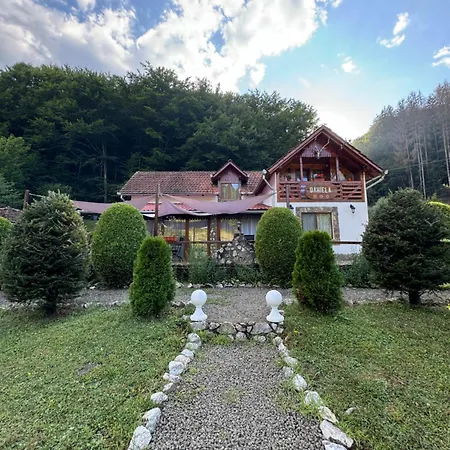 Villa Pensiunea Daniela *